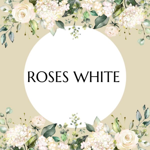 Roses White
